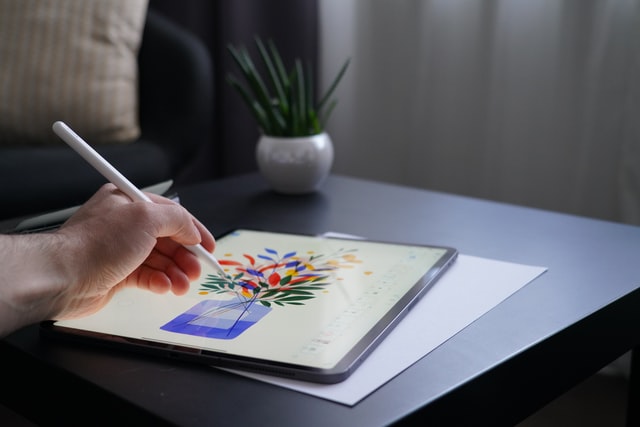 artist illustrator procreate iPad