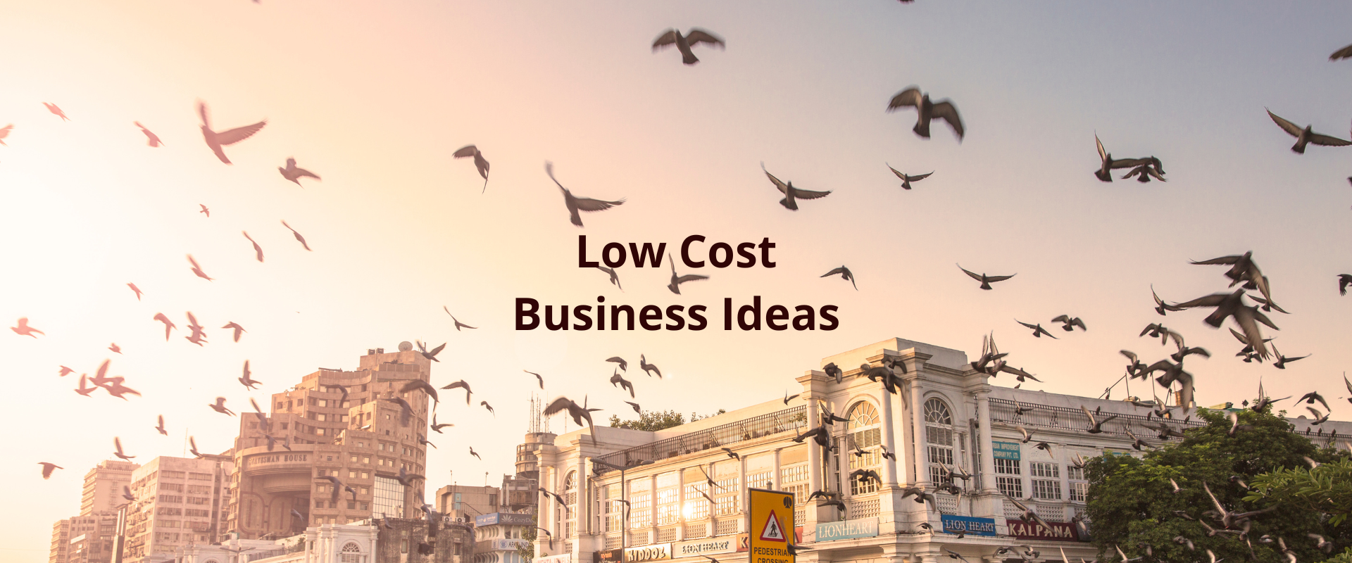 Low-cost Business Ideas With High Profit in India