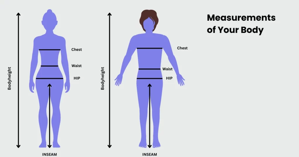 measurement of body for t shirt size chart