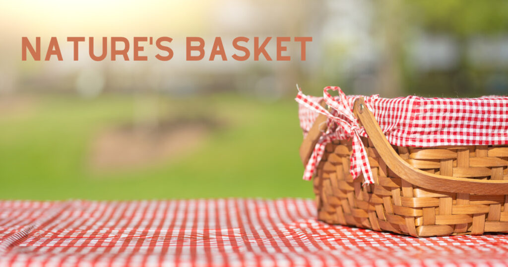 Nature's Basket | Corporate Diwali gifts for clients