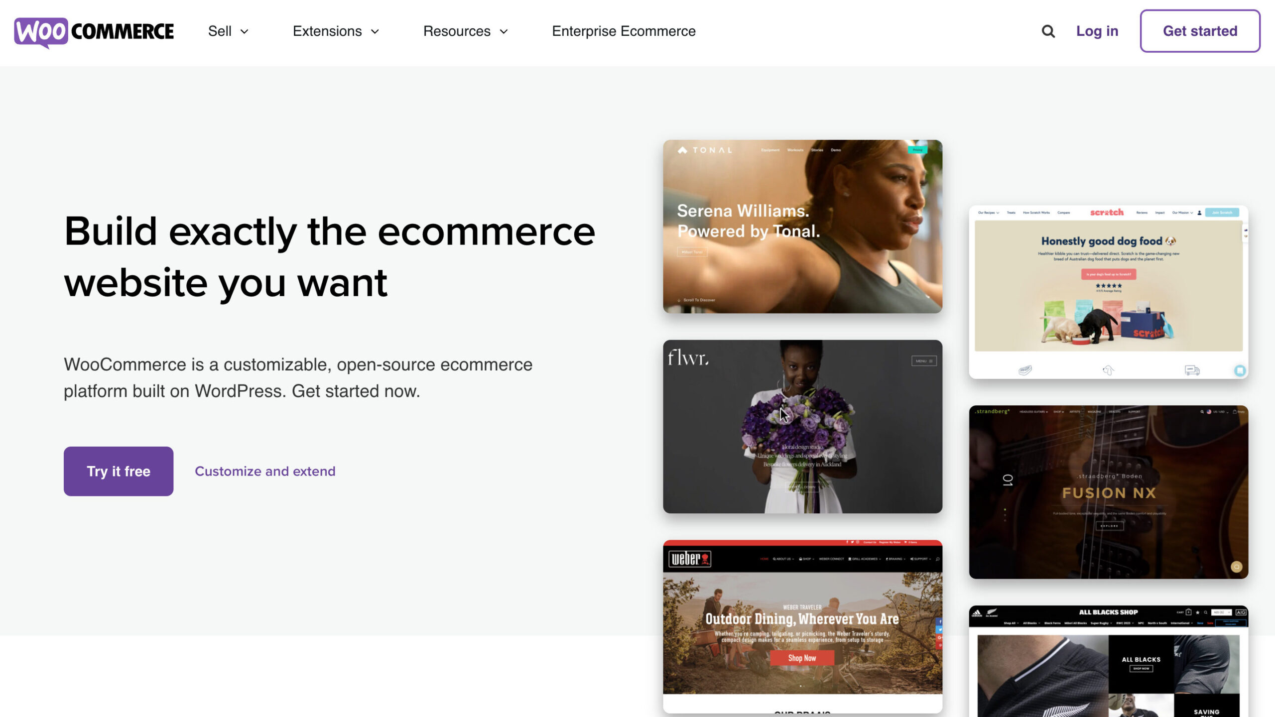 Woocommerce Dropshipping Website Webpage