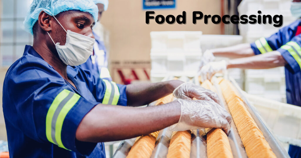 Food Processing | Business Ideas in Bihar