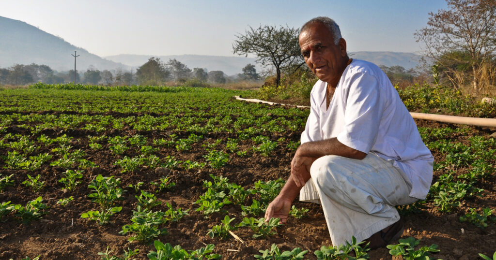 Organic Farming | Business Ideas in Pune