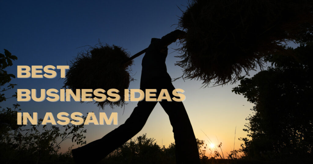 Best Business Ideas in Assam