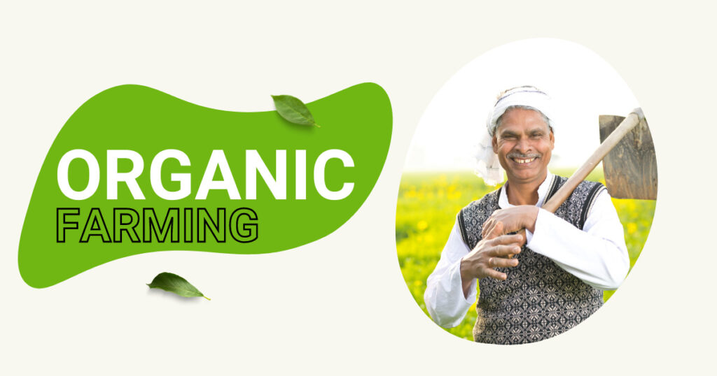 Organic Farming | Business Ideas in Hyderabad