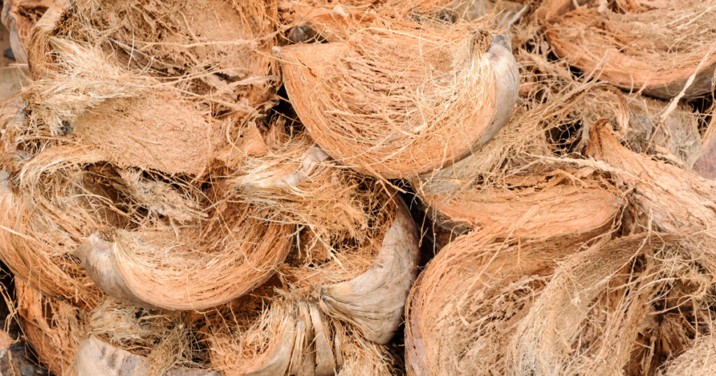 Coir Products Manufacturing | Business Ideas in Karnataka