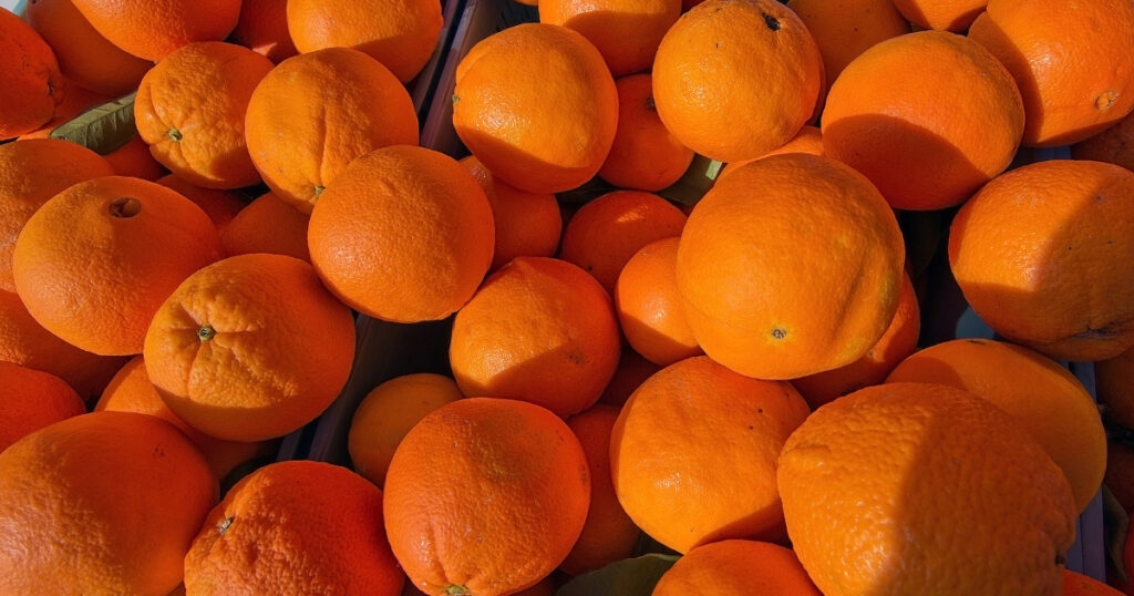 Orange Exporting | Business Ideas in Nagpur