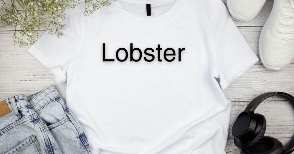 Lobster - best fonts for T shirt