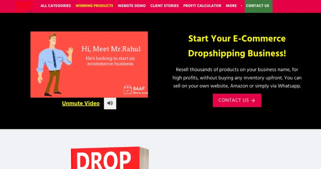 baapstore for dropshipping