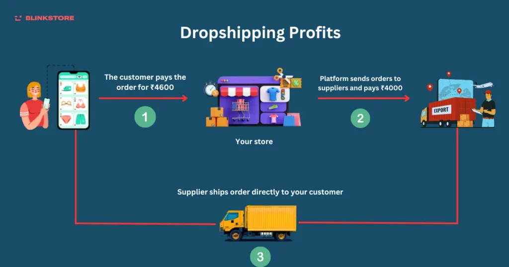 dropshipping profits