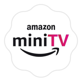 companies amazon - Swag Bags - 2025 Amazon MiniTv