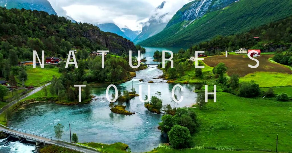 Nature's Touch | Business Swag Bag ideas