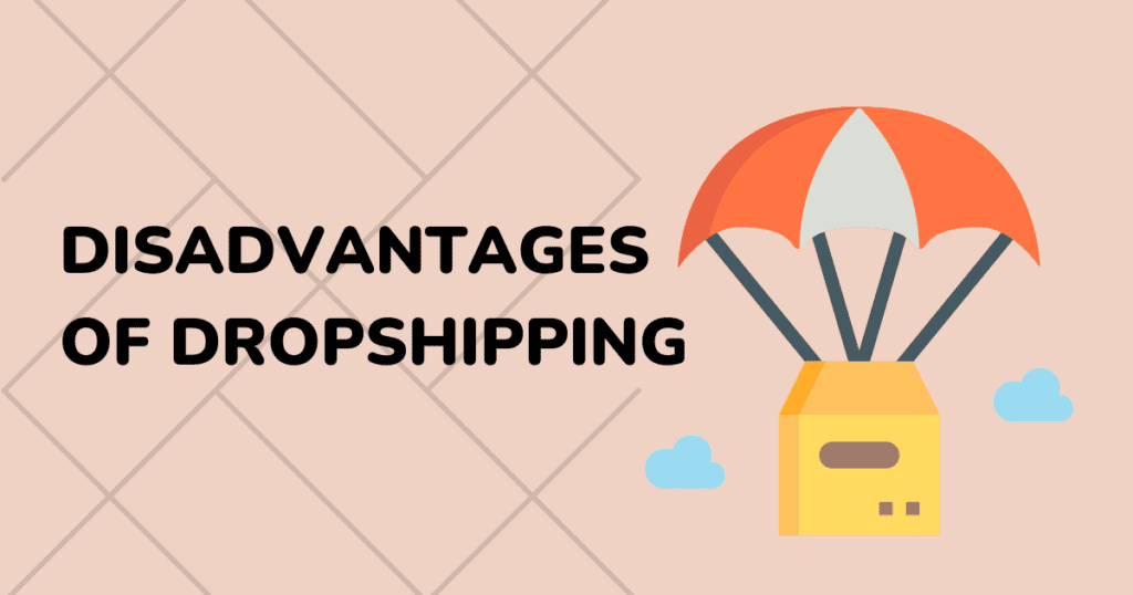 image 22 - Affiliate Marketing vs. Dropshipping: Which One is Best 2024 - 2025 Disadvantages of Dropshipping | Affiliate Marketing vs. Dropshipping