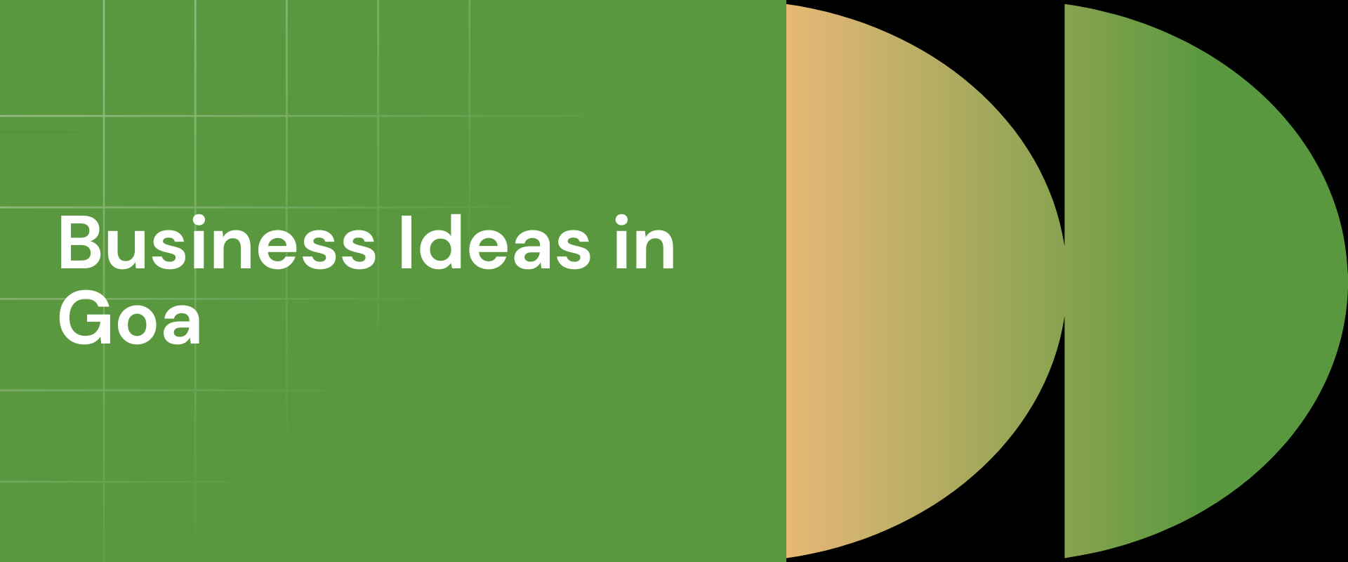 25+ Powerful Business Ideas in Goa for 2024