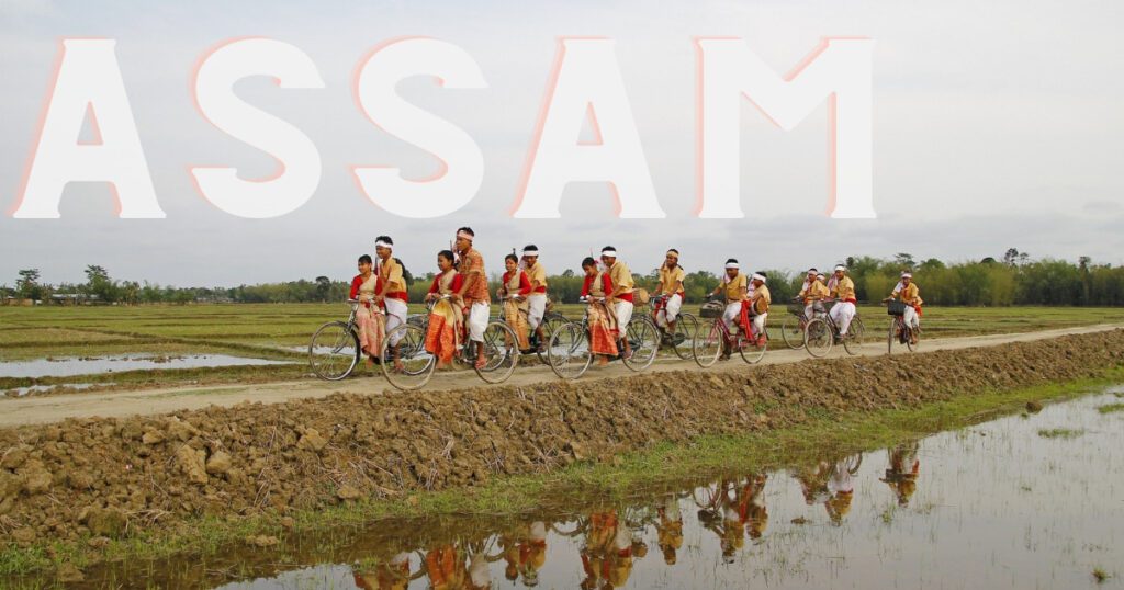 image 11 34 - 20+ Amazing Business Ideas in Assam in 2024 (Highly Profitable) - 2025 Business Ideas in Assam - The Land of Blue Hills and Red River