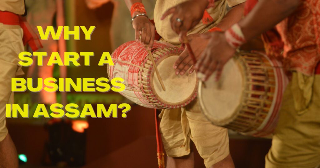 image 11 37 - 20+ Amazing Business Ideas in Assam in 2024 (Highly Profitable) - 2025 Why Start a Business in Assam? Business Ideas in Assam