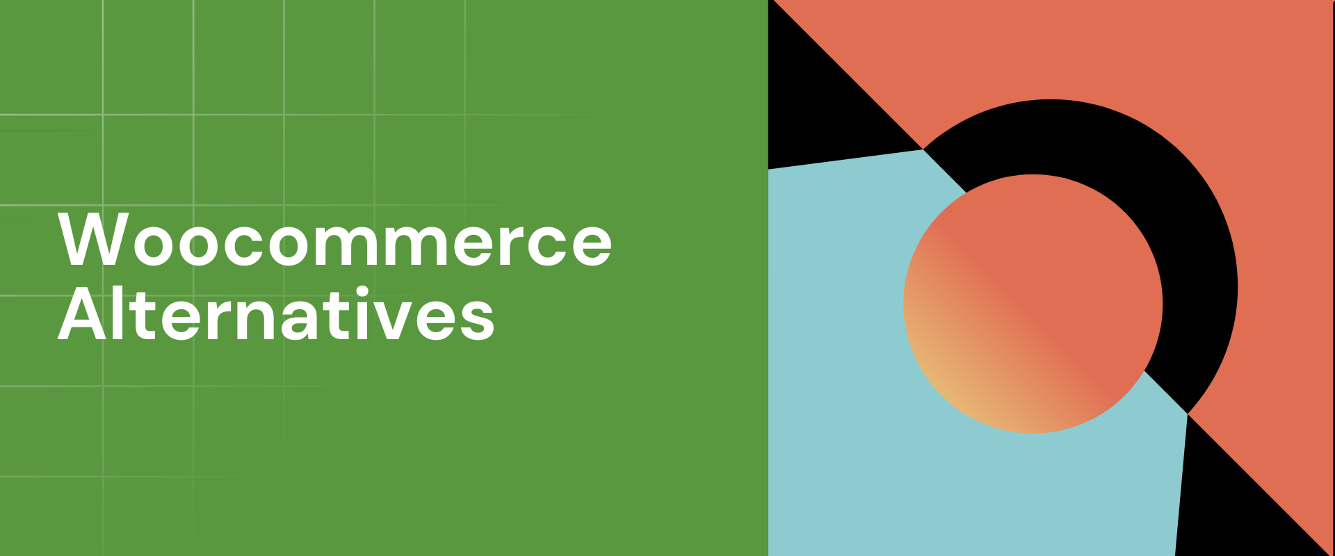 8+ Best Woocommerce Alternatives in 2024