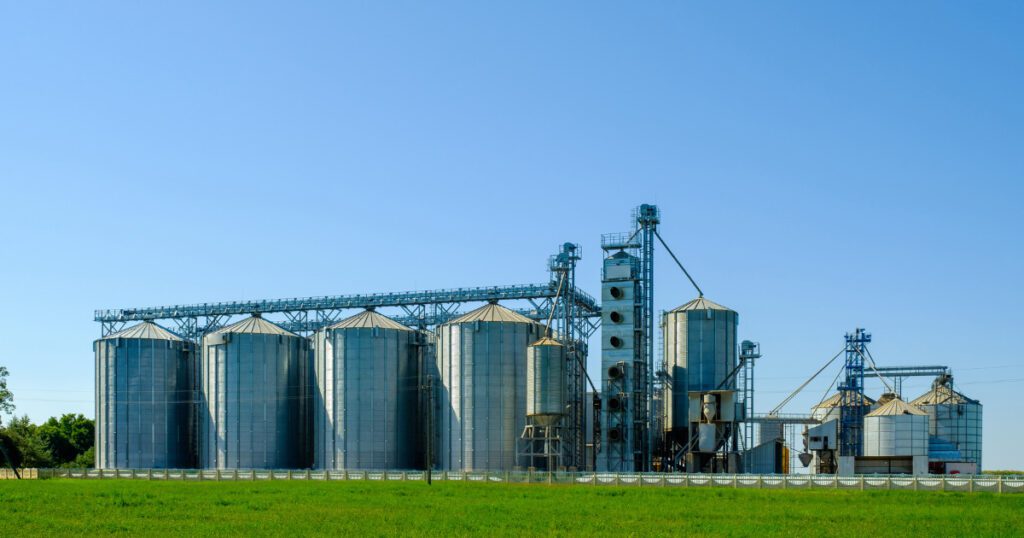 Agro-based Food Processing | Business Ideas in Karnataka