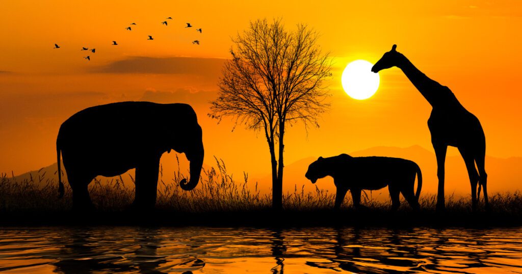 Eco-Tourism and Wildlife Conservation | Business Ideas in Karnataka