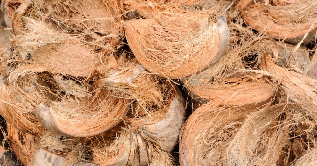Coir Products Manufacturing | Business Ideas in Karnataka
