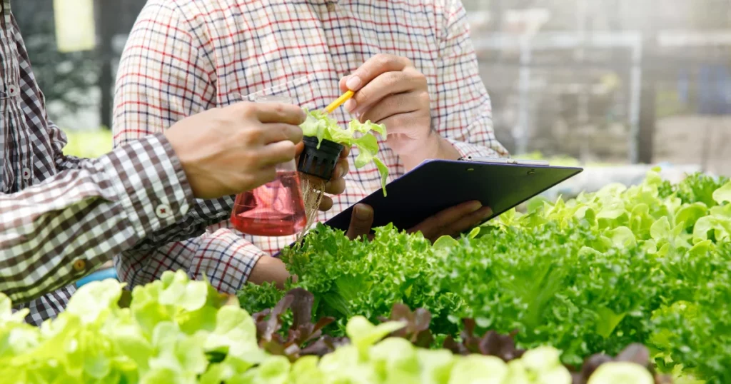 Food & Agriculture Opportunities - worlds best business opportunity