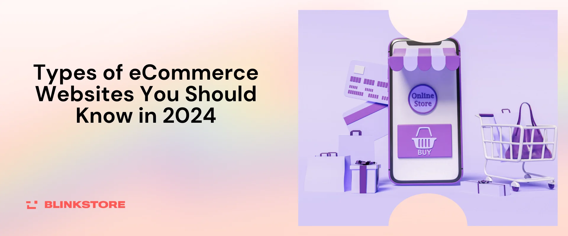 Types of eCommerce Websites You Should Know in 2024
