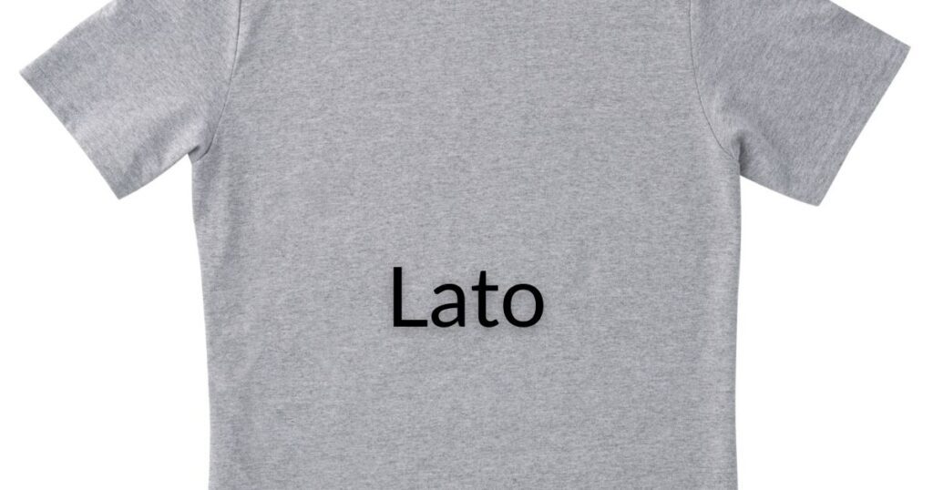 Lato - 45 Best Font for Tshirt to Level Up Your Designs in 2024 - 2025 Lato - best fonts for t shirts