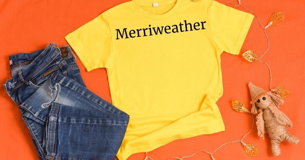 Merriweather - 45 Best Font for Tshirt to Level Up Your Designs in 2024 - 2025 Merriweather - best fonts for t shirts