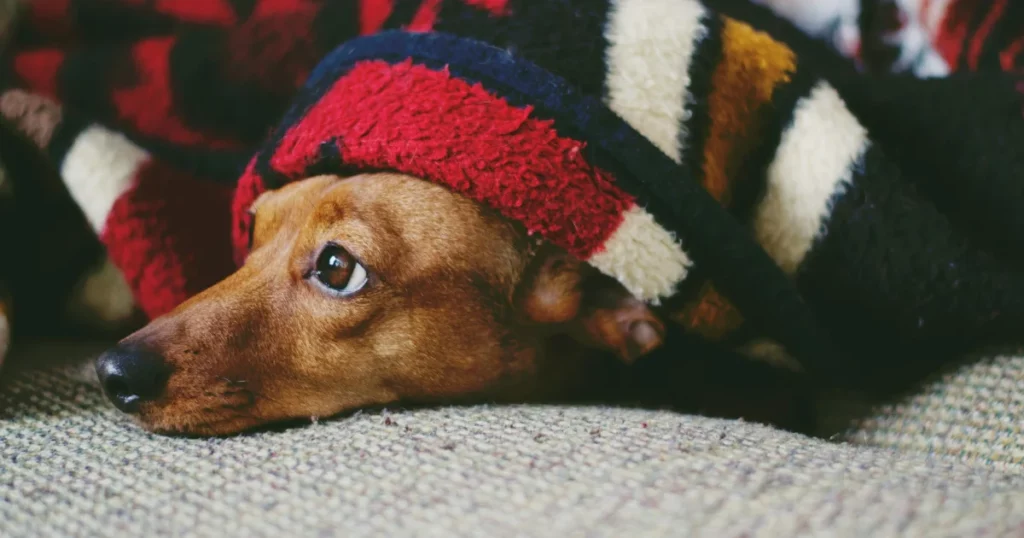 Blankets - 27 Best Selling Print-on-Demand Products for Online Store - 2025 Blankets - unique print on demand products
