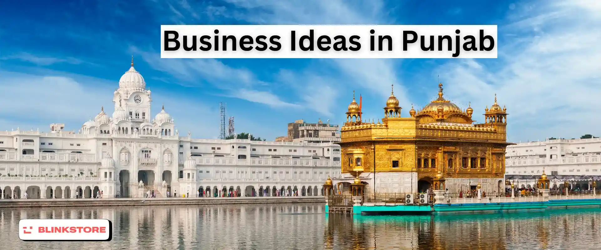 20+ Best Business Ideas in Punjab to Try in 2024