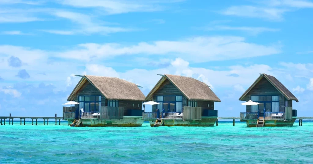 Travel and Accommodation